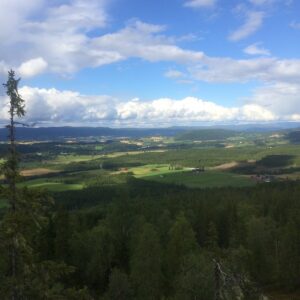 IMG 0472